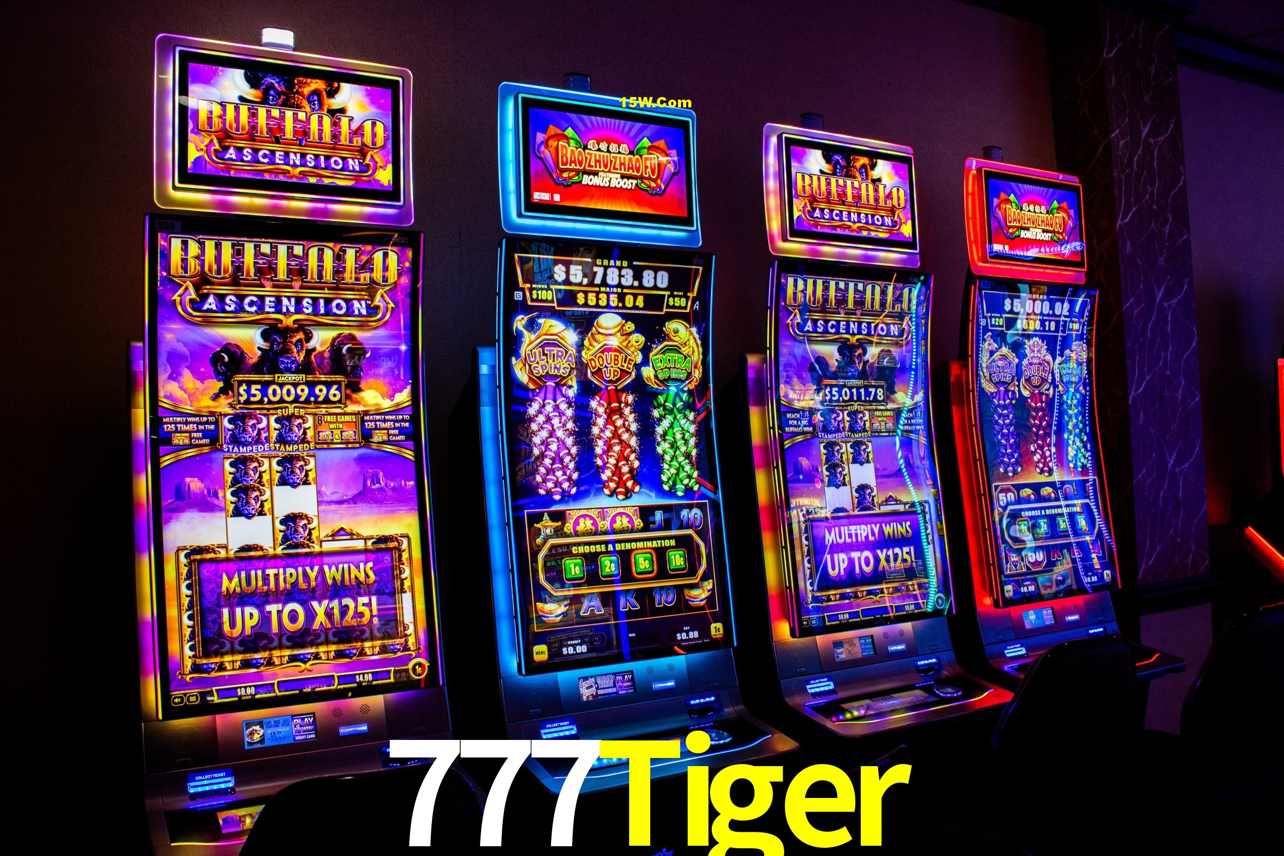 Bonus Features 777Tiger